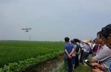市农经局举行水稻病虫害无人机防控观摩会
