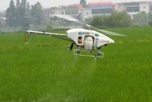 田间赛场掀起“洪荒”旋风