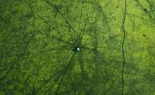 高空创作的火花 摄影师遇上无人机