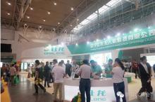 新疆引进“大壮”无人机 每天最大撒药4000亩