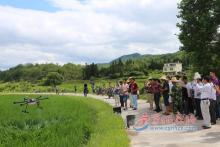 宁化：无人机助阵水稻病虫统防统治