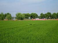 汉和应邀参加江苏省高效植保机械现场演示会