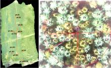 遥感地球所科研人员利用无人机航拍助力野外森林调查