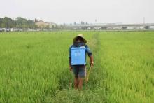 深度观察：悬在风口上的植保无人机