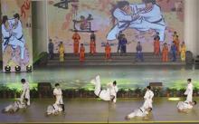 无人机、机器人、柔道 成为小学生课程