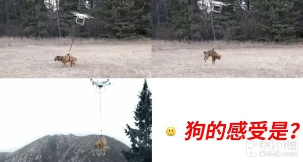 首发炸机的小米无人机：不见得是坏事