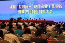 无人机植保助推现代农业 农保装备开启智能化