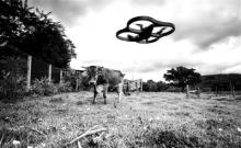 小型无人机“进军”美国农业市场