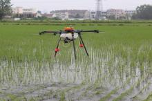 无人机在稻田上空采集数据 摸清粮食“家底”