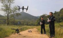 旅顺老铁山无人机首次升空护鸟 打击捕鸟偷猎