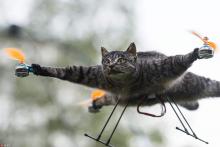 艺术家创意难懂 发明动物标本无人机