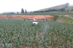 农业植保，无人机喷洒农药