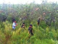 4岁女童77小时后被无人机找到