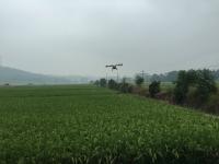 来湖南围观无人机喷农药，看完我只想辞职加盟开飞机