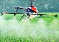 河口区首次实现无人机防治美国白蛾 防控面积1000亩