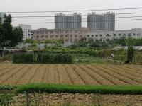 农业调查进入“无人机时代”东莞开放日“接地气”