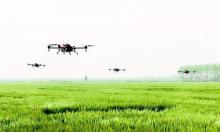五大短板制约发展 植保无人机百亿蛋糕不易吃