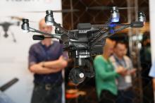 澳大利亚用无人机监视鲨鱼 确保弄潮儿安全