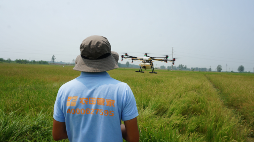 农田管家助力农村“双创” 让田间飞起无人机