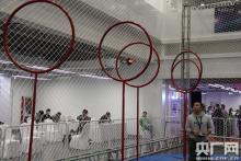 2016世界机器人大会无人机比赛吸睛