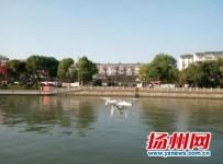扬州古运河首用无人机巡航执法