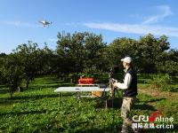 日本发力无人机 无人机运输城市纳入政府工作议程