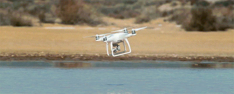 高交会无人系统展观众预报名攻略 | 参加国内最精致的“无人趴”是一种什么样的体验？