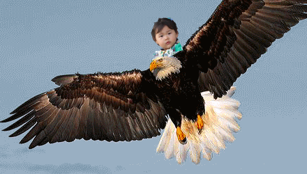 FiFish飞行鱼：别人家的无人机都会飞，而它会潜水