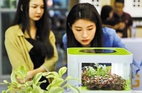 高交会人气产品引关注