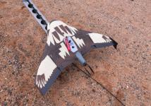 澳大利亚楔尾鹰与无人机的较量：老鹰9胜0负