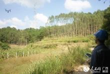 无人机线路巡检 1小时精准找到故障点