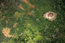 探秘亚马逊原始部落 族人见到无人机一脸惊奇