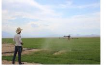 2016天鹰兄弟植保无人机洒遍了大半个疆土