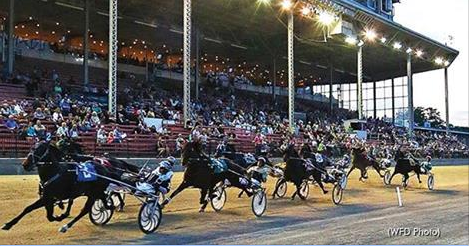 为保证比赛公正 加拿大用无人机高空监视赛马现场