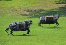 无人机已被抛弃 谷歌打算让“狗”送快递