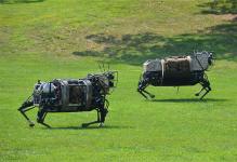 无人机落后了？谷歌开始考虑用机器狗送货