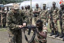 美派陆战队培训喀麦隆陆军 援助大疆无人机进行反恐