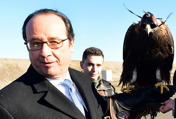 法国总统试训老鹰 专门对付无人机