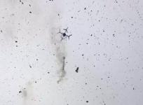 海城小伙作妖作出新高度 无人机挂55米鞭炮上天