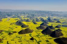 植保旺季来临，怎样才能赢在第一步