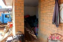 野象再次造访西双版纳农田 无人机全程监控