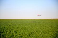 看完1万张植保无人机的图片，还是这一抹鲜红最酷