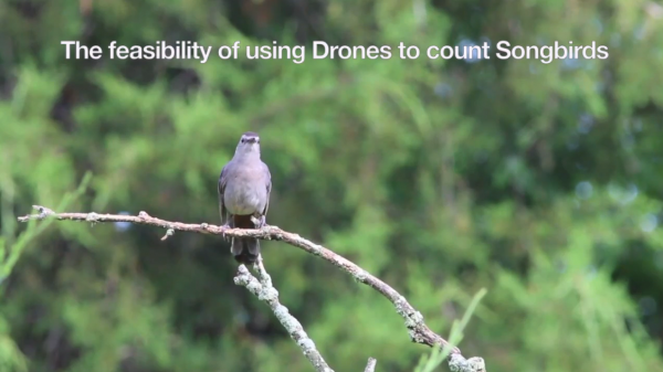 【视频】盖茨堡学院将无人机应用于鸣禽研究