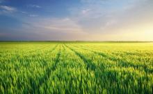 无人机飞入田间地头后，能走多远？