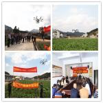 浙江：无人机“护航”油菜田