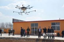 青岛：绝对高大上 即墨农田喷药用上无人机