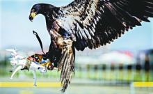 武汉警方又添新武器 25万元反制枪专“打”无人机