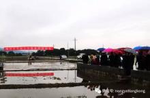 梅州春耕会惊现“无人机”，村民直呼“这就是农业的出路……”