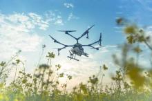 DJI大疆MG-1S植保无人机油菜花飞防案例