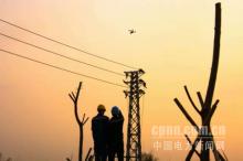 阳江供电：无人机助力农网线路巡线